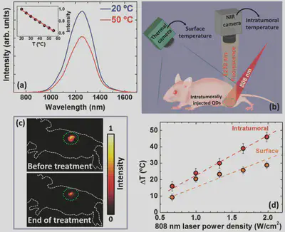 Terapia fototérmica controlada por temperatura con puntos cuánticos de PbS/CdS/ZnS. Fuente: https://onlinelibrary.wiley.com/doi/abs/10.1002/adom.201600508.