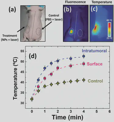 a) Imagen óptica de un ratón con dos tumores. b,c) Imágenes de fluorescencia infrarroja y térmica del mismo ratón bajo irradiación láser de 808&thinsp;nm (4&thinsp;W/cm2), respectivamente. d) Evolución temporal de la temperatura en la superficie del tumor obtenida a partir del análisis de imágenes térmicas infrarrojas. Fuente: https://onlinelibrary.wiley.com/doi/10.1002/adfm.201403653.