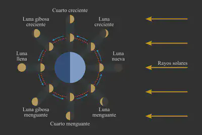fases-lunares